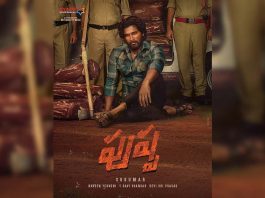 Pushpa Video Songs Download Mp4